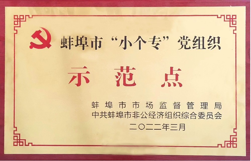 盛世新能源黨支部榮獲蚌埠市“小個?！秉h組織示范點稱號